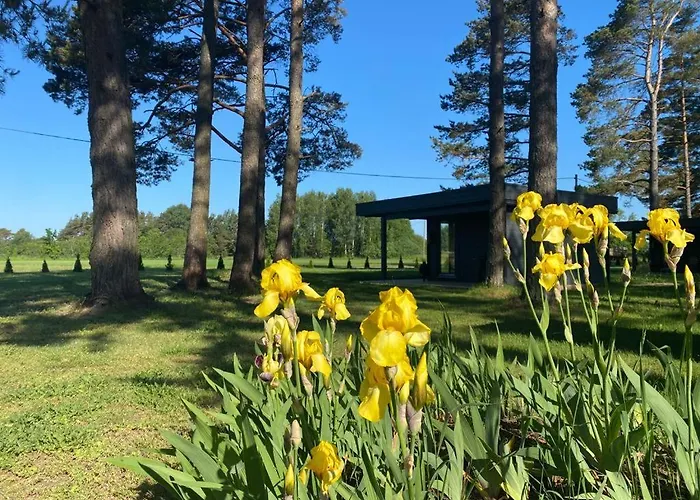 Villa Maennituka Suvetuba Kirikukula  photo