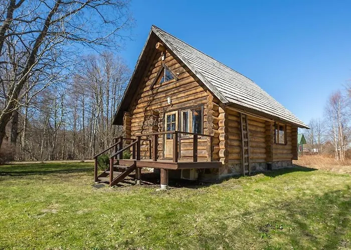 Cozy House In Leesi With Sauna photo