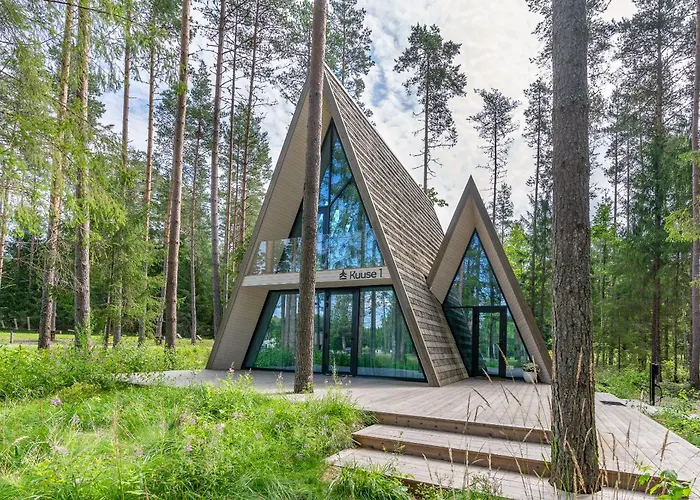 Kuuse Elamusmajad Villa Pillapalu photo