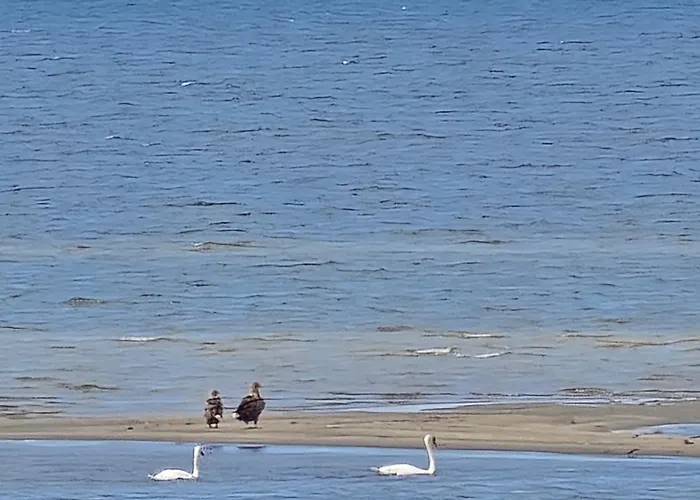 صورة شقة Perka Kodumajutus Häädemeeste