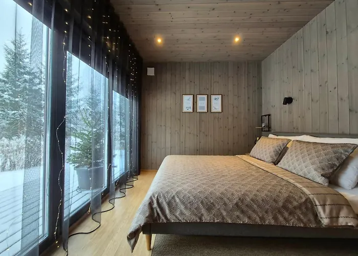 Фото Mysikaspot Green