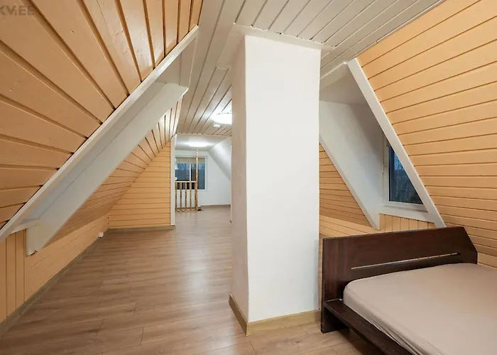 Voika Majutus Villa photo