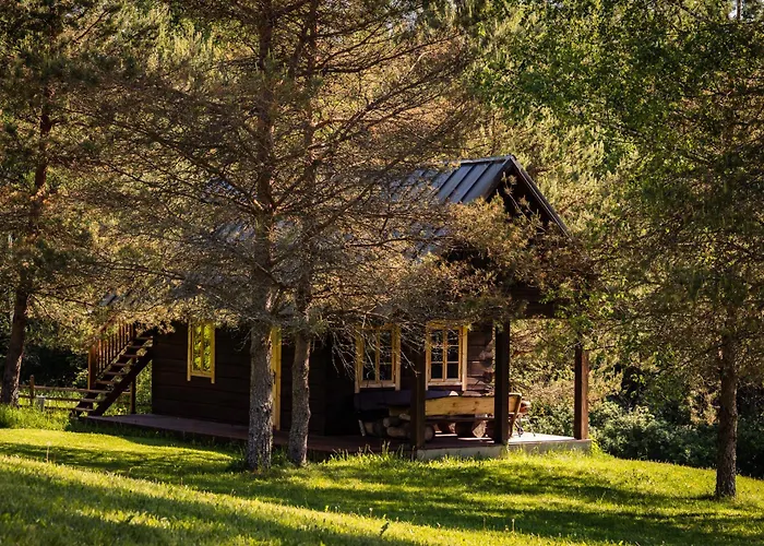 صورة Sauna House With Minilake Voki