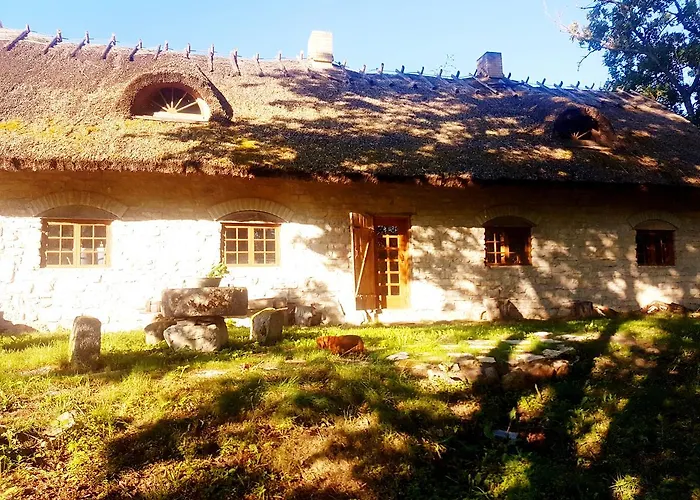 Paali Cottages Tornimae photo
